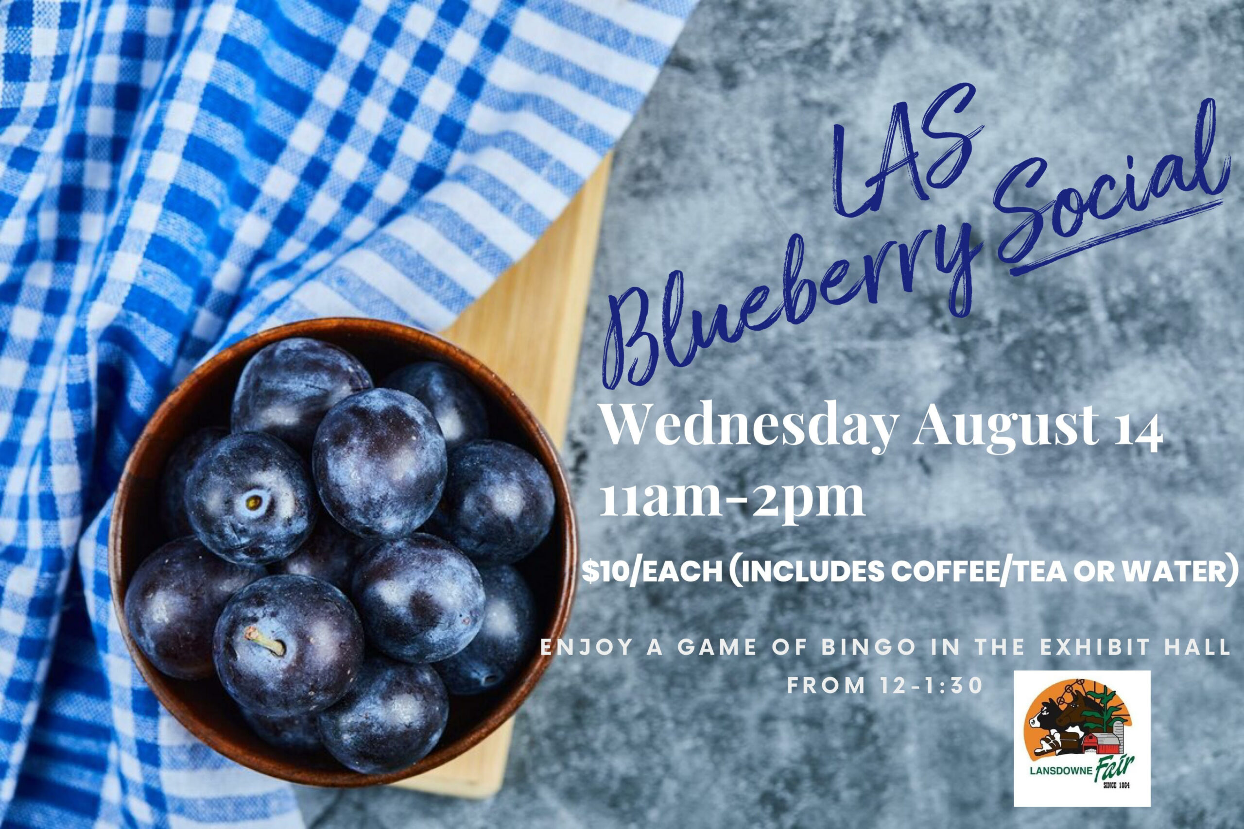 LAS Blueberry Social 2024